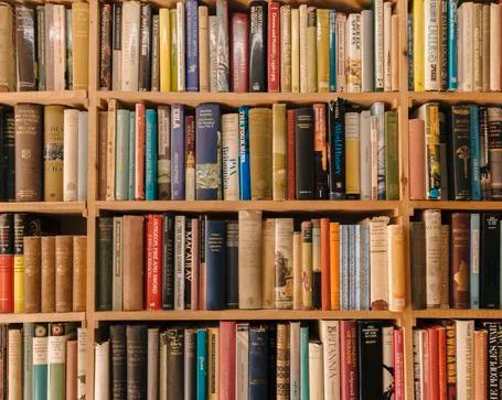 Цифровая библиотека Internet Archive удаляет 500 000 книг после того, как издатели подали на них в суд